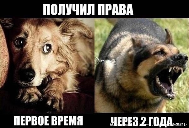 IMG_0746 (602x409, 145Kb)