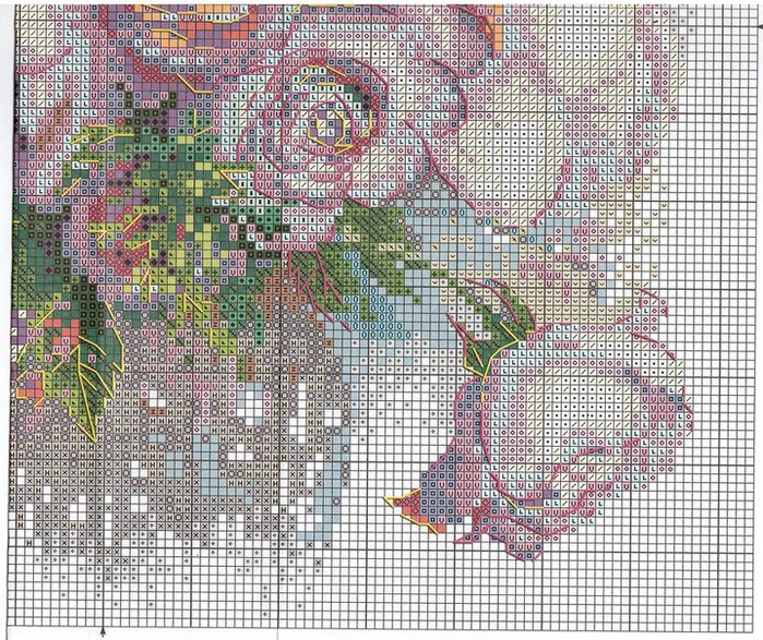 Stitchart-akvarelnye-rozy4 (700x587, 624Kb)