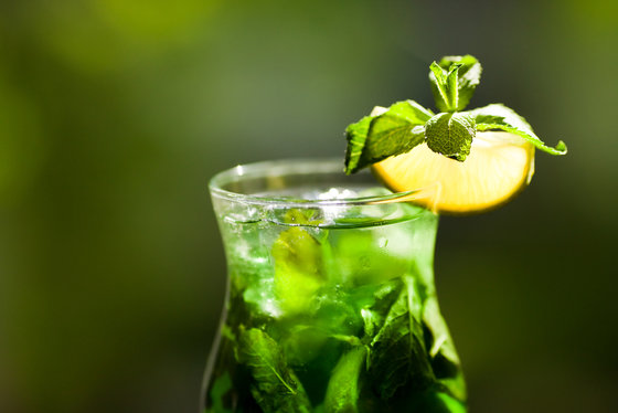 3407372_syrianmintlemonade (560x374, 33Kb)