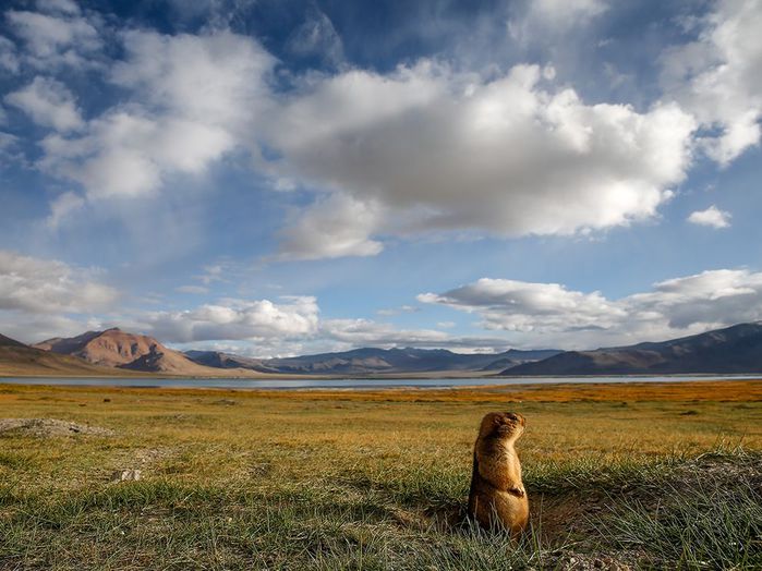 Лучшие фотографии недели от National Geographic 23.06.2014 -29.06.2014