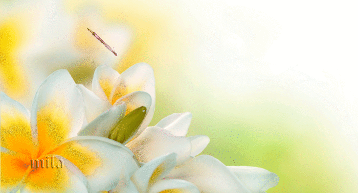 0_8eb69_d00cb5cd_orig (700x378, 3745Kb)