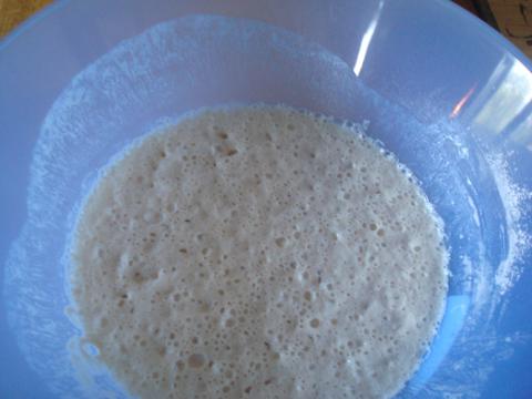 DSC05413 (480x360, 21Kb)