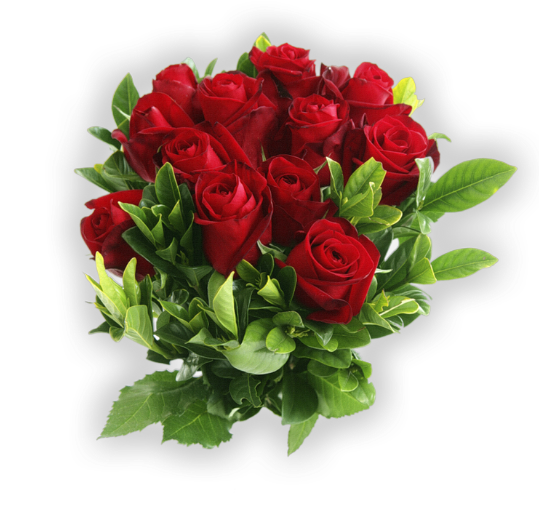 84906388_84488530_3996605_byket_roz_721 (539x516, 430Kb)