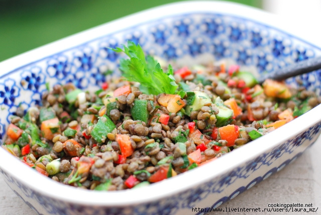 lentil-salad-6 (640x429, 199Kb)