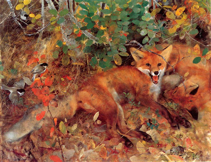 Foxes (700x540, 557Kb)