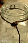  Mason-Jar-Light-DIY_022-393x590 (393x590, 166Kb)