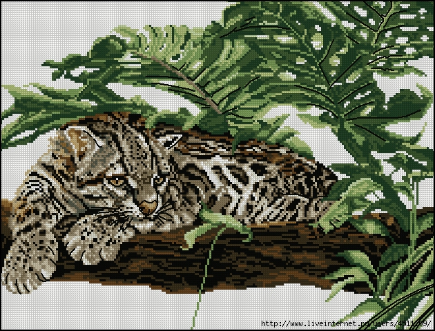 leopard-broderia (630x480, 398Kb)