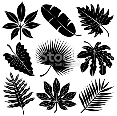 stock-illustration-13348510-tropical-leaves (380x379, 113Kb)