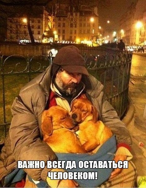 3795539_xXYym_Y7vVM (469x604, 80Kb)