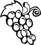  grape-vine-clip-art_f (383x425, 75Kb)