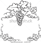  stock-vector-decorative-grapes-vine-vector-ornament-frame-144975730 (450x467, 96Kb)