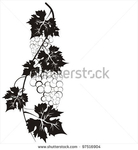  stock-vector-grape-isolated-on-white-background-97516904 (433x470, 72Kb)