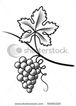  stock-vector-grapes-imitation-engraving-55092220 (338x470, 68Kb)