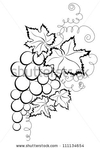  stock-vector-grapes-111134654 (315x470, 75Kb)