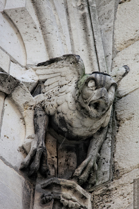 55580_870_fixedwidth (466x700, 405Kb)