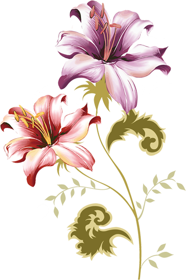 floral (135) (365x549, 229Kb)