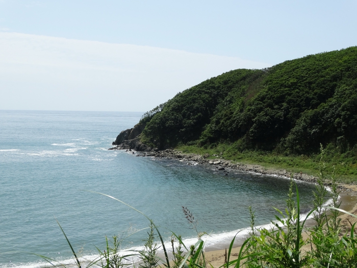 5559494_DSC02826 (700x525, 255Kb)