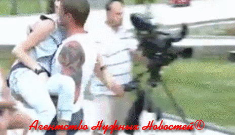 Петух падает в обморок видео