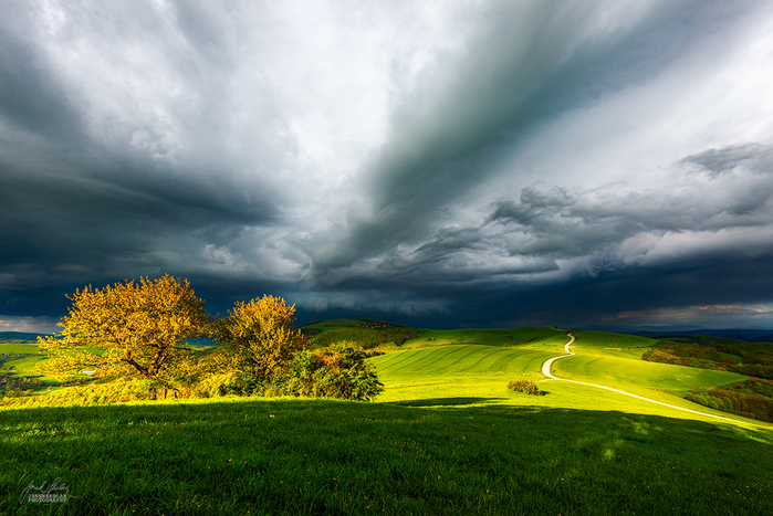 _song_of_the_springstorm__by_janek_sedlar-d7fdjpn (700x467, 374Kb)