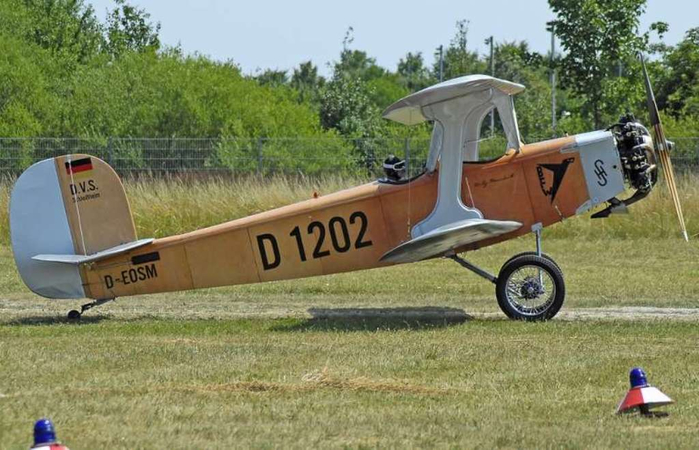 1930UdetFlamingo (700x450, 318Kb)