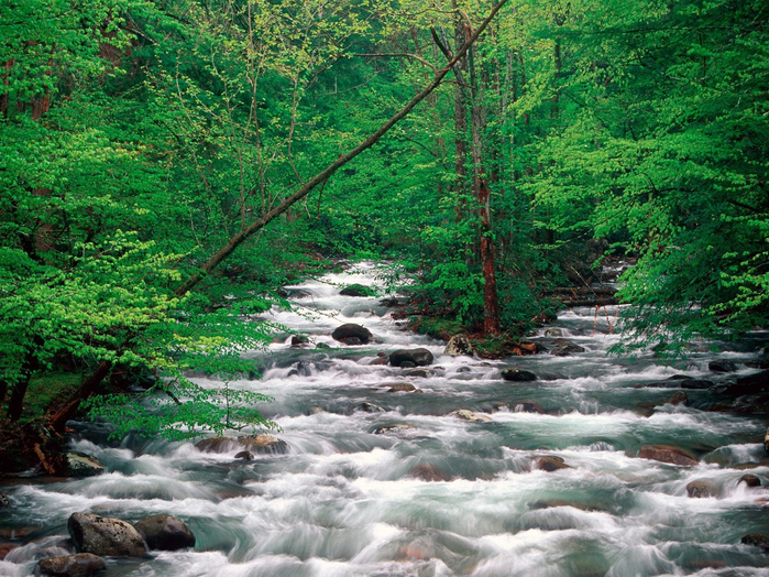 лето..little_pigeon_river__great_smoky_mountains__tennessee7060521 (700x524, 602Kb)