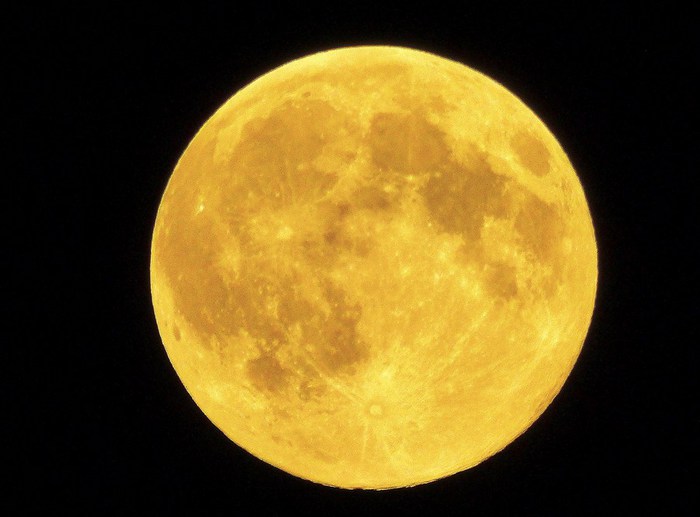 1  ...    (700x517, 50Kb)