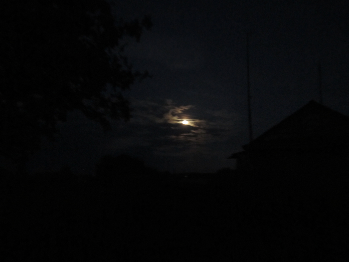 IMG_2133 (700x525, 176Kb)