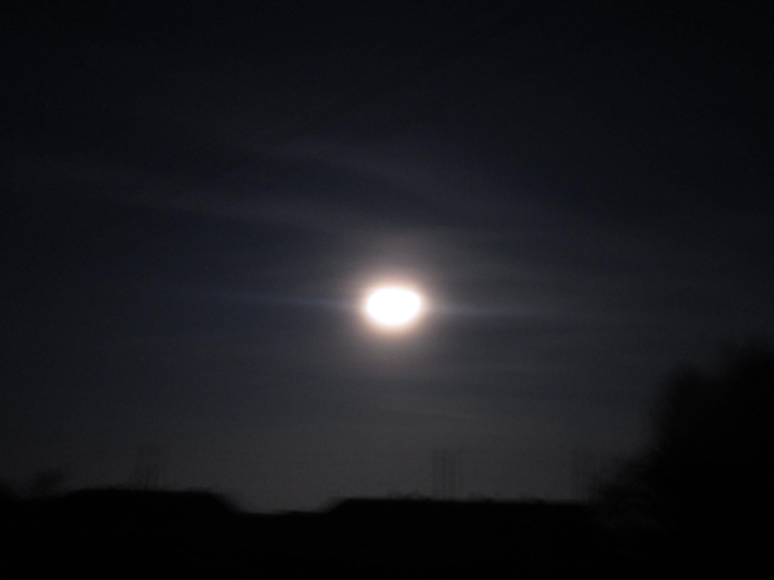 IMG_2141 (700x525, 159Kb)