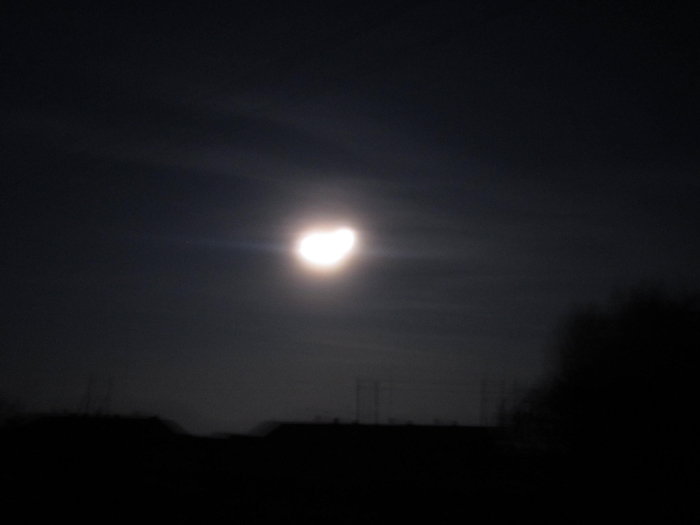 IMG_2142 (700x525, 154Kb)