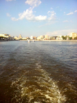  IMG_20140809_183011 (525x700, 356Kb)