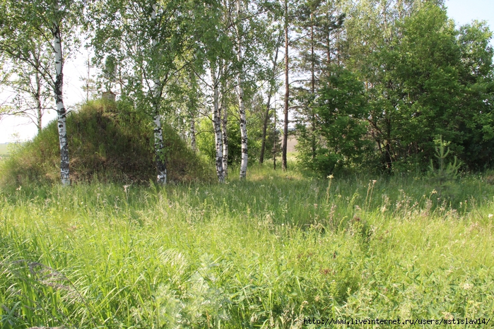 IMG_1148 (700x466, 439Kb)