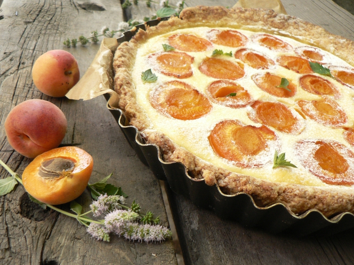 Пироги с абрикосами в духовке рецепт с фото
