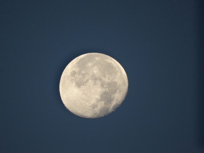 5559494_DSC03196 (700x525, 154Kb)