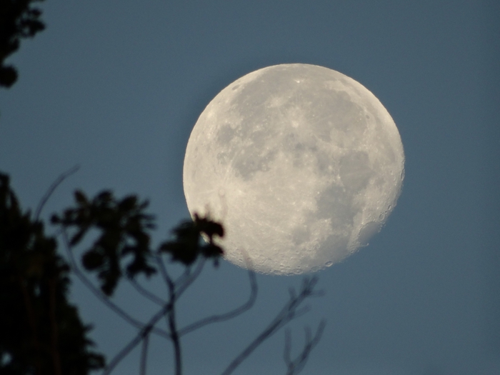 5559494_DSC03224 (700x525, 162Kb)