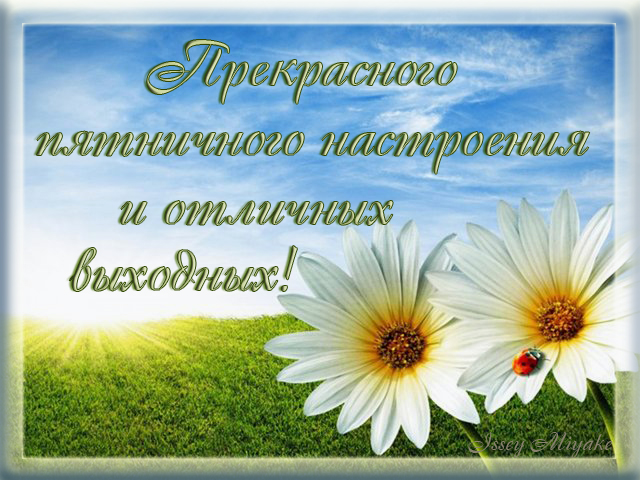 http://img1.liveinternet.ru/images/attach/c/11/115/648/115648319_3768849_pyatnichnoe_nastr.jpg