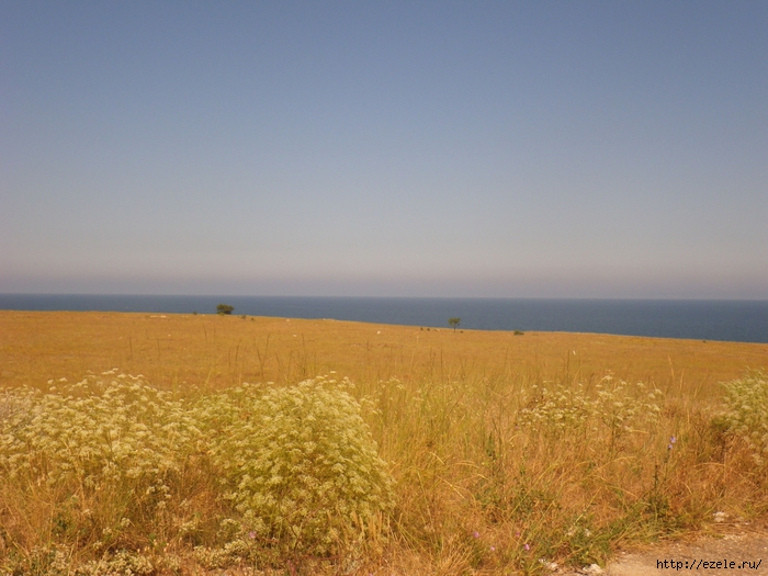 5087732_IMGP0726 (700x525, 272Kb)
