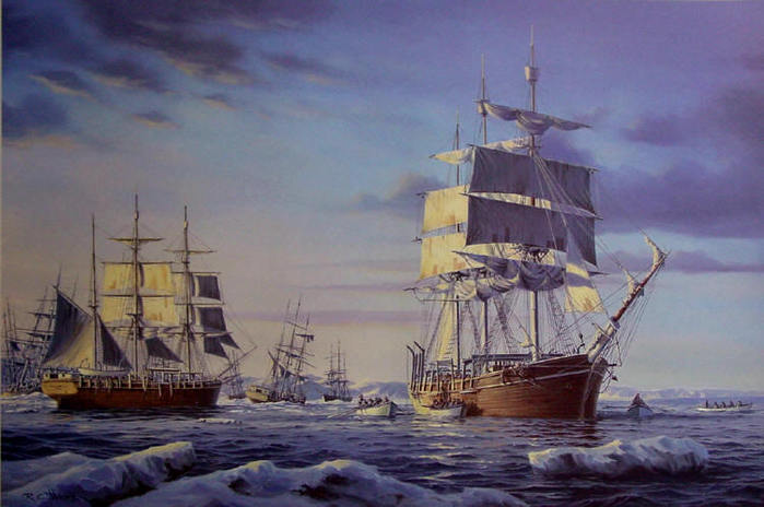 3623822_whalingdisaster750 (700x464, 50Kb)