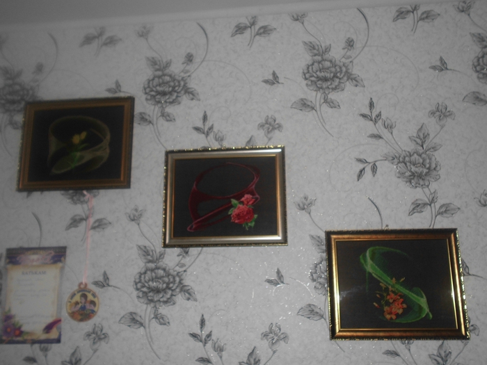 5068204_CIMG2262 (700x525, 209Kb)