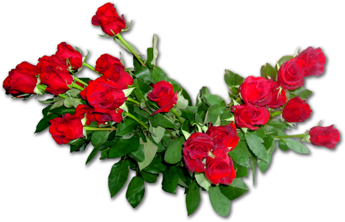 0_8c158_7f04cf02_orig (700x450, 330Kb)