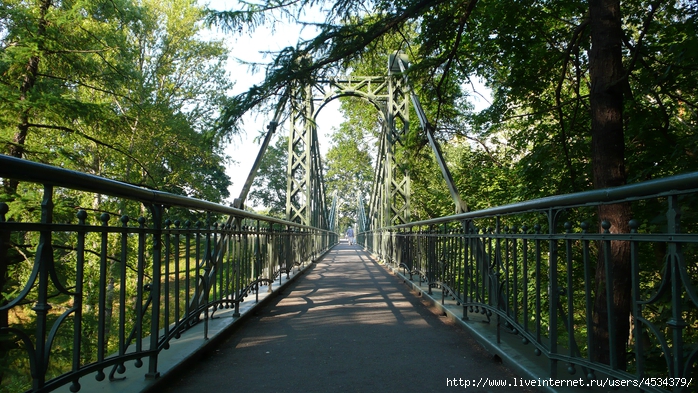 P1150967 (700x393, 350Kb)