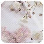   4 (150x150, 40Kb)