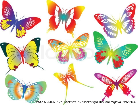 1470778-487635-collection-of-colored-butterflies-vector-illustration (480x366, 133Kb)