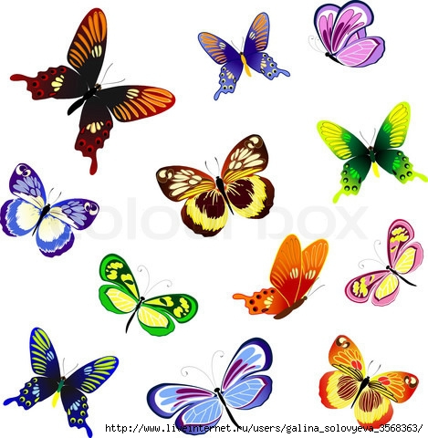 1658069-430728-illustration-of-butterflies-of-different (469x480, 152Kb)