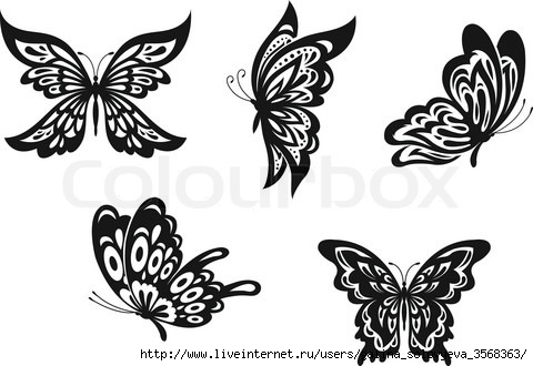 4494928-285840-butterfly-tattoos (480x330, 89Kb)