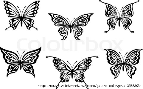 4668303-296505-butterfly-tattoos (480x298, 90Kb)