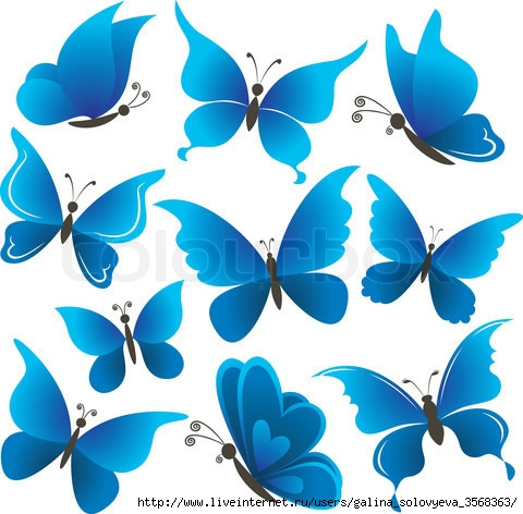 4716603-426095-set-butterflies (480x472, 140Kb)