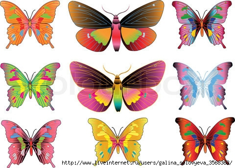 6119700-478112-set-of-different-multicolored-butterflies-vector (480x343, 143Kb)