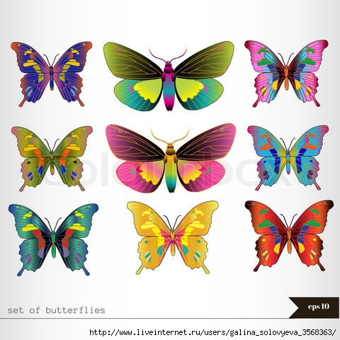 8962793-573567-set-of-different-multicolored-butterflies (480x480, 156Kb)