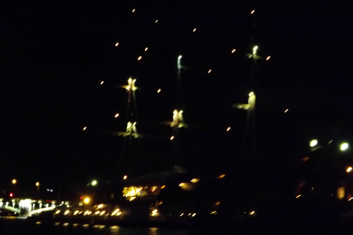 DSCF2351 (700x466, 170Kb)