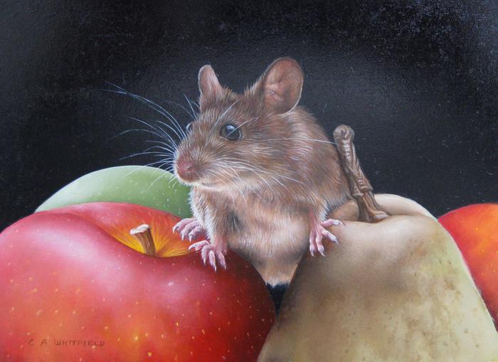 1408897028_Mouse_on_fruit (700x509, 46Kb)